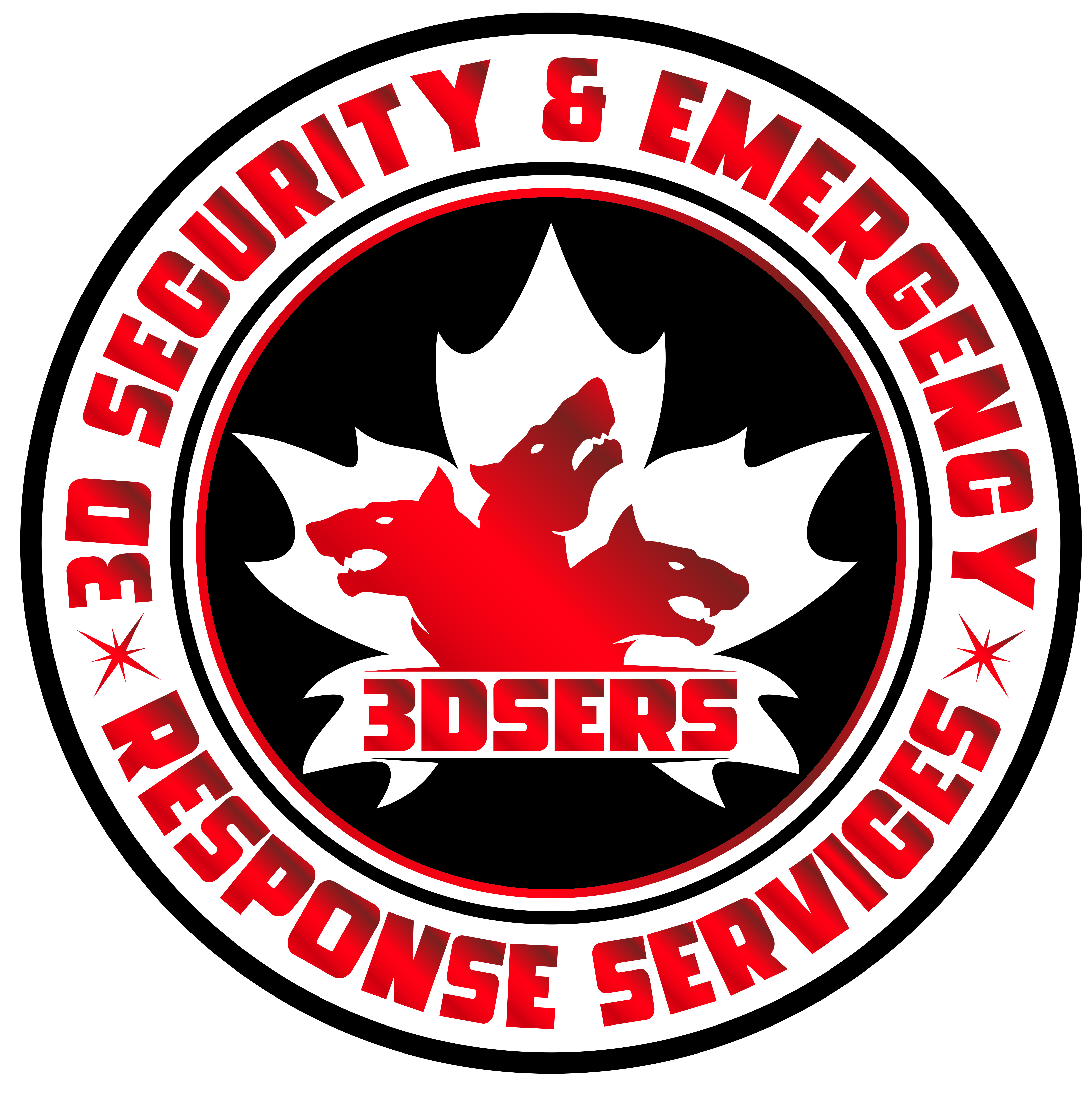 3D Security and Emergency Response Services